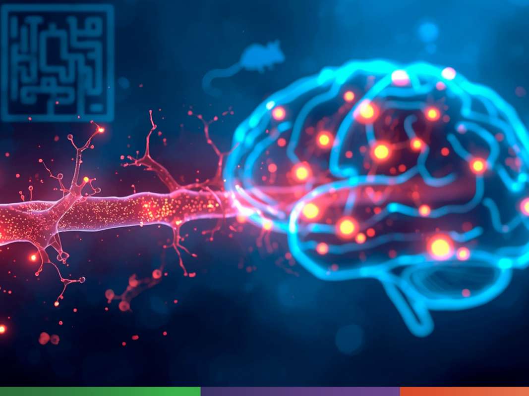 Нейросеть для ранней диагностики Альцгеймера